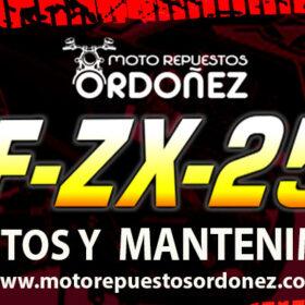 Garantizado en KMF ZX-250R: repuestos y mantenimiento